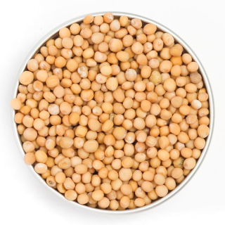 Hořčice žlutá celá