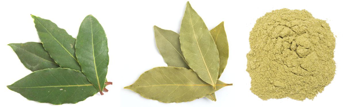 Bobkový list celý a mletý