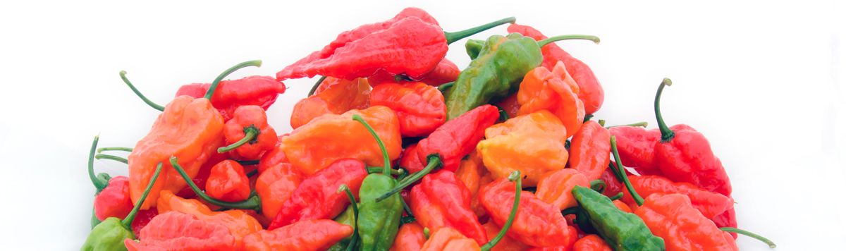 Chilli Bhut Naga Jolokia