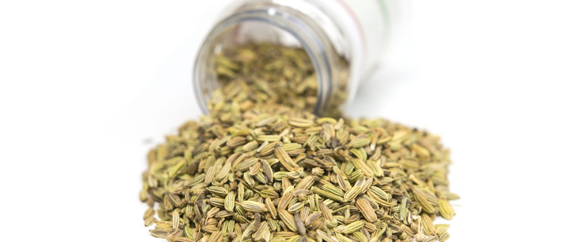 Fenykl | Solomon - koření králů