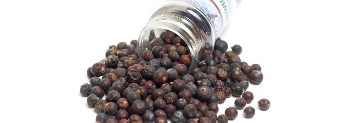 Jalovec celý, Juniper