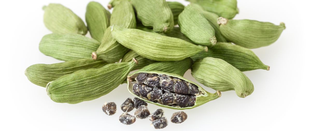Kardamom, Cardamom seed