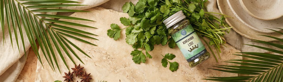 Koriandr list, Cilantro