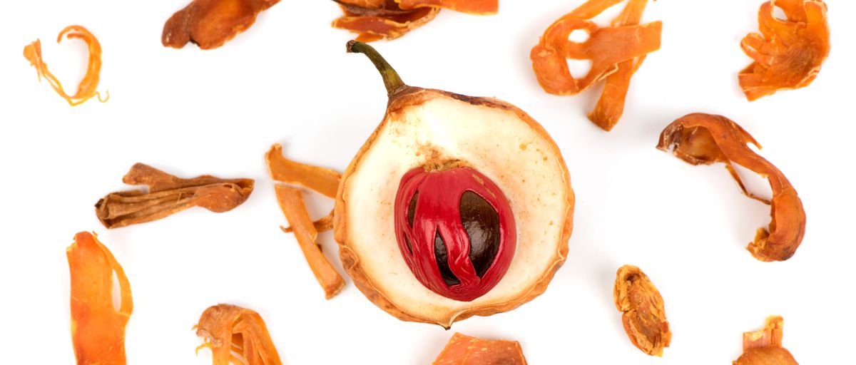 Muškátový ořech a květ