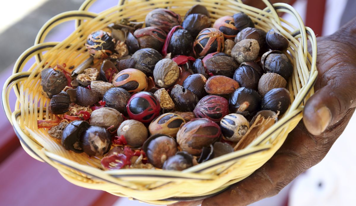 Muškátový ořech a květ