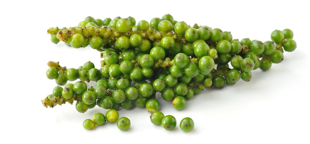 Pepř zelený, Green peppercorns