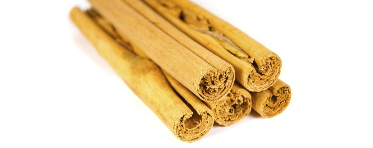 Skořice cejlonská celá
