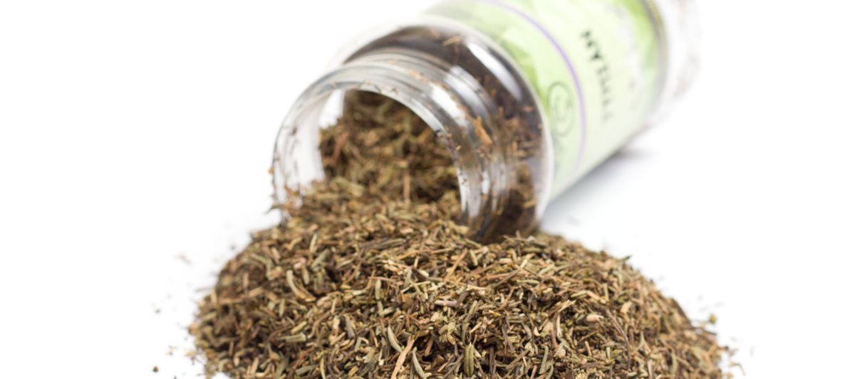 Tymián Solomon - koření králů