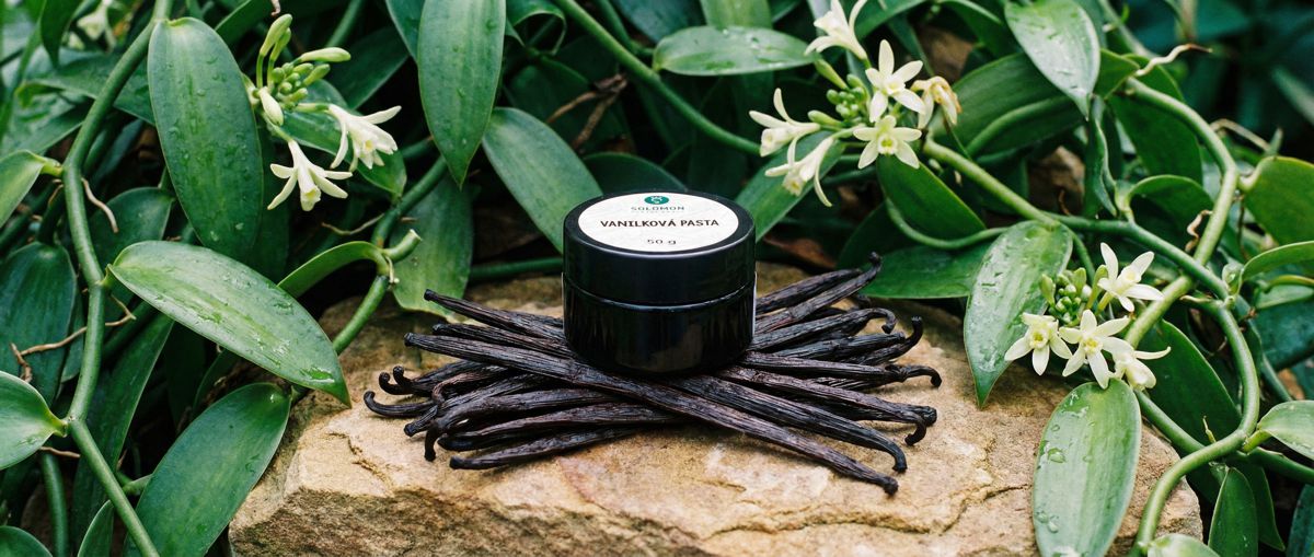 Vanilkova pasta Solomon